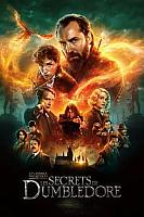 les Secrets de Dumbledore 2022