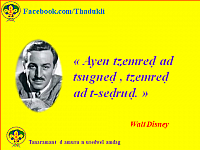 Walt Disney T